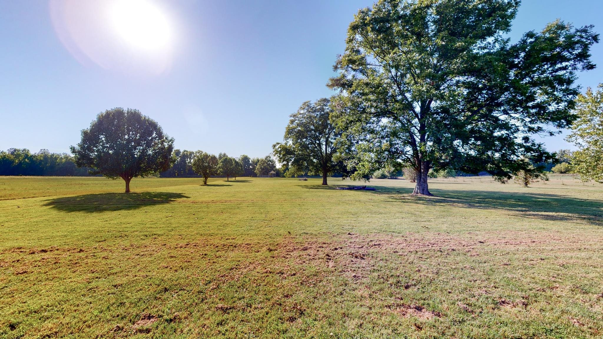8629 Brunswick Road Millington, TN 38053 - Photo 21 of 25 a view of a lake with a yard