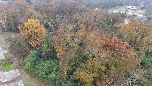 a view of a forest with lots of trees