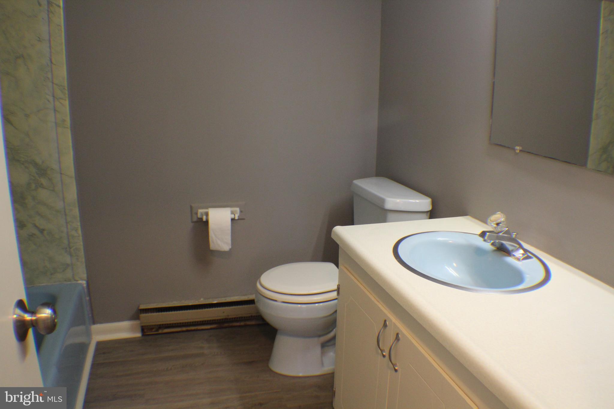 111 Tingle Road Berlin, MD 21811 - Photo 6 of 15 Full Bath