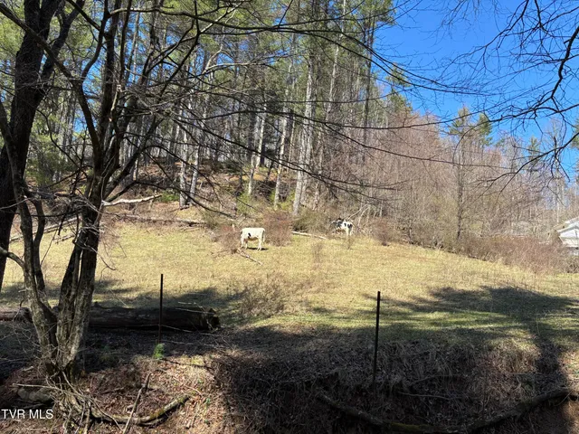 $450,700 | 0 Houser Lane, Mountain City, TN 37683