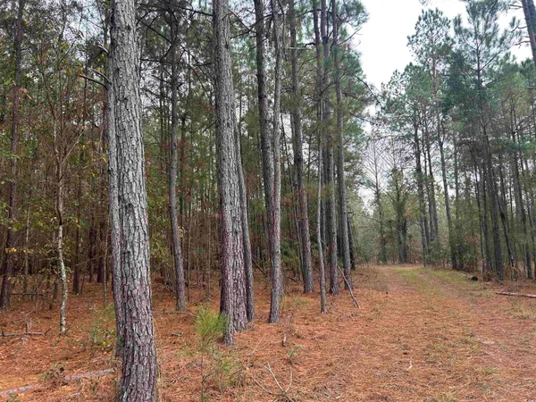 $1,125,000 | 746 Highway 746, Loris, SC 29569