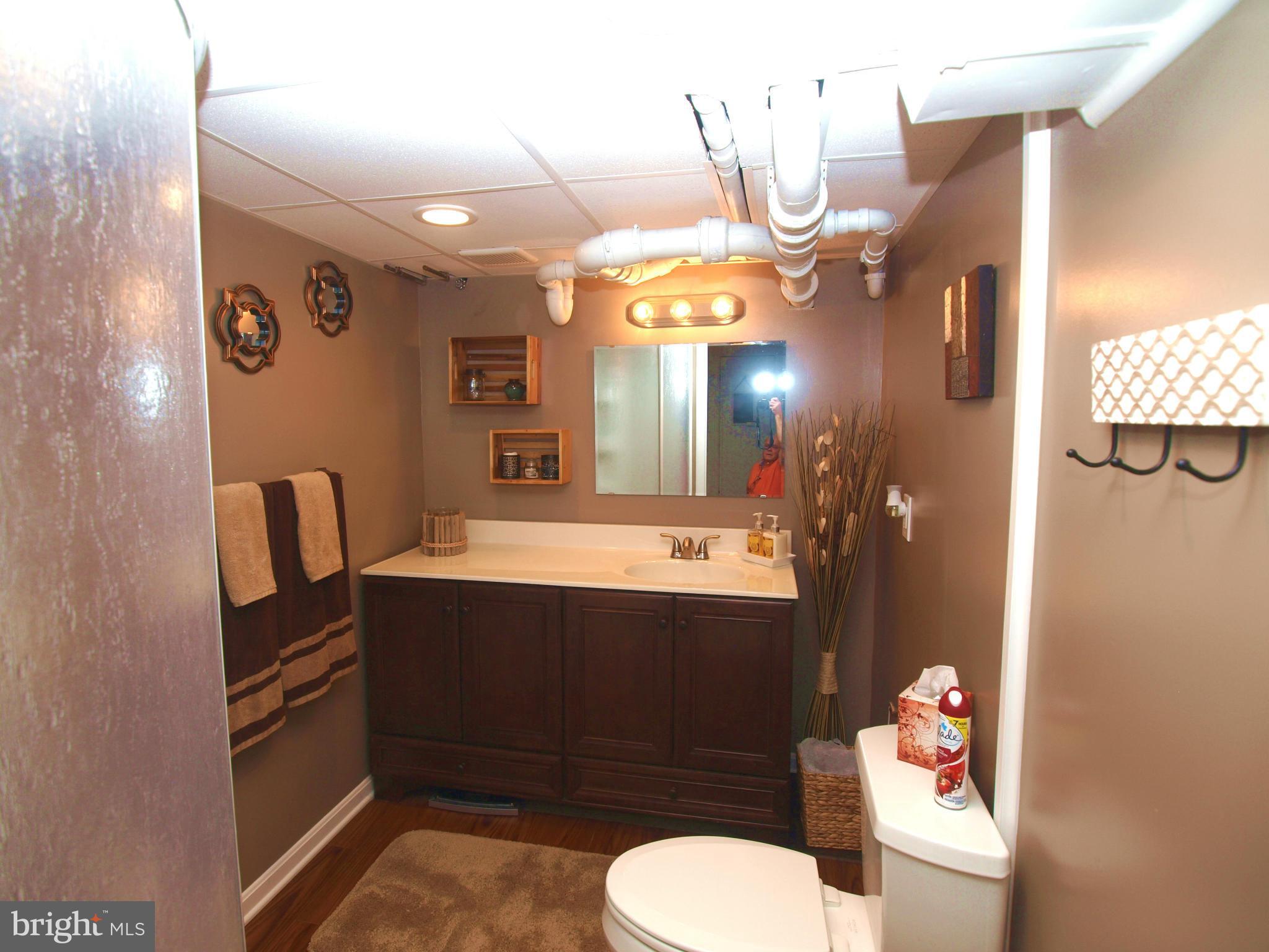 222 Lake Road Pasadena, MD 21122 - Photo 15 of 30 Full Bath Lower Level
