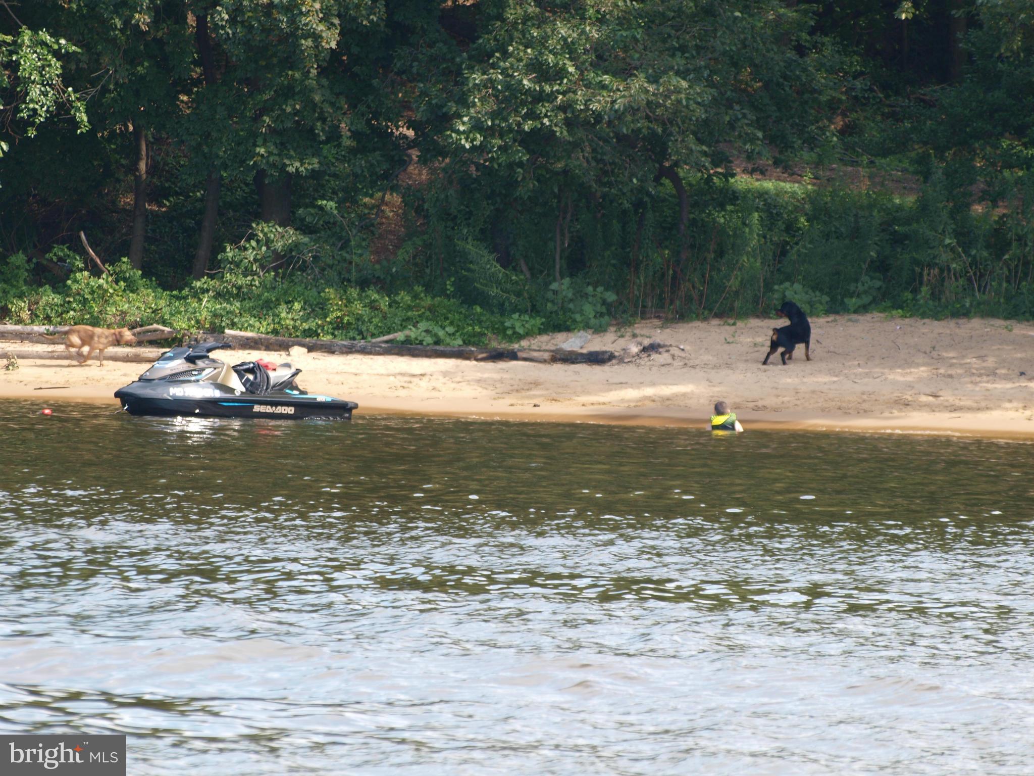222 Lake Road Pasadena, MD 21122 - Photo 28 of 30 Community Beach