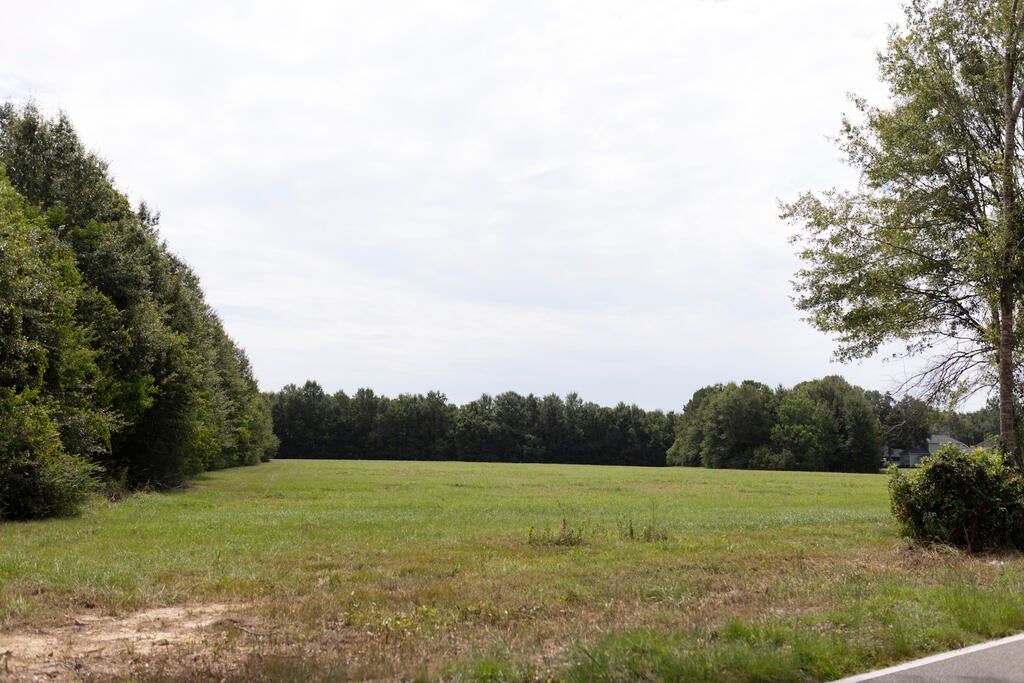 Lot 12 Cooper Road Carriere, MS 39426 - Photo 4 of 4 Gallery Image 4