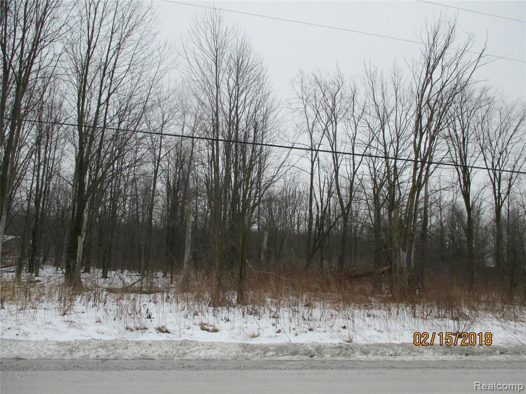 0 McKinley Road East China, MI 48054 - Photo 12 of 17