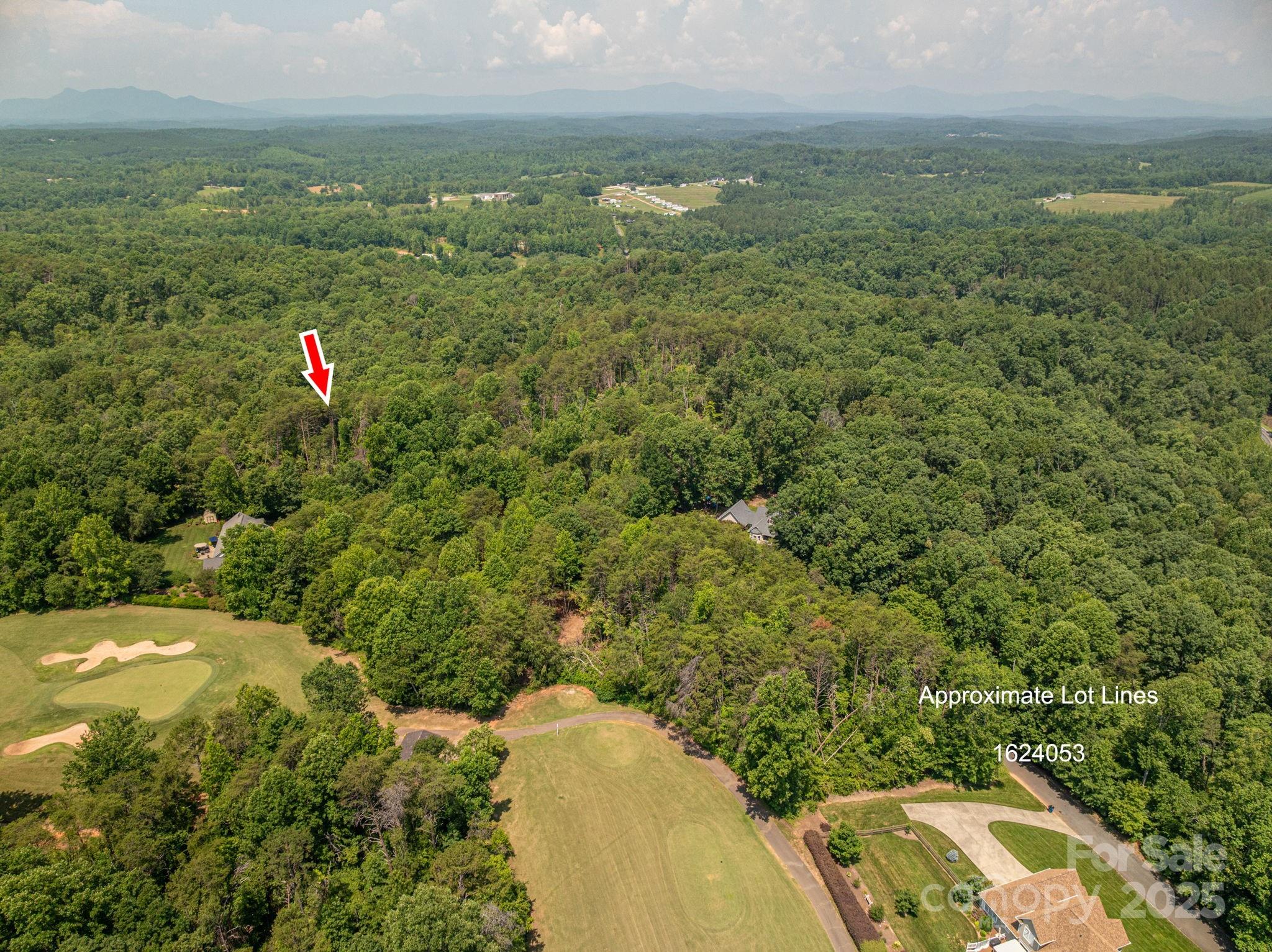 Lot 0 Annapolis Court Rutherfordton, NC 28139 - Photo 4 of 27