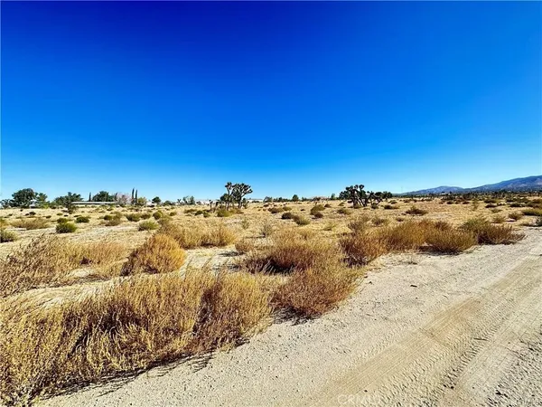 $51,000 | 12025 Primavera Road, Pinon Hills, CA 92372