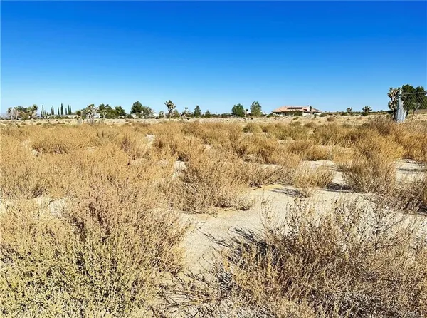 $51,000 | 12025 Primavera Road, Pinon Hills, CA 92372