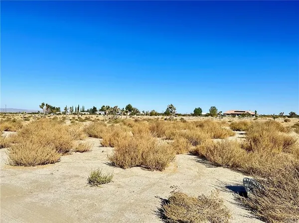 $51,000 | 12025 Primavera Road, Pinon Hills, CA 92372
