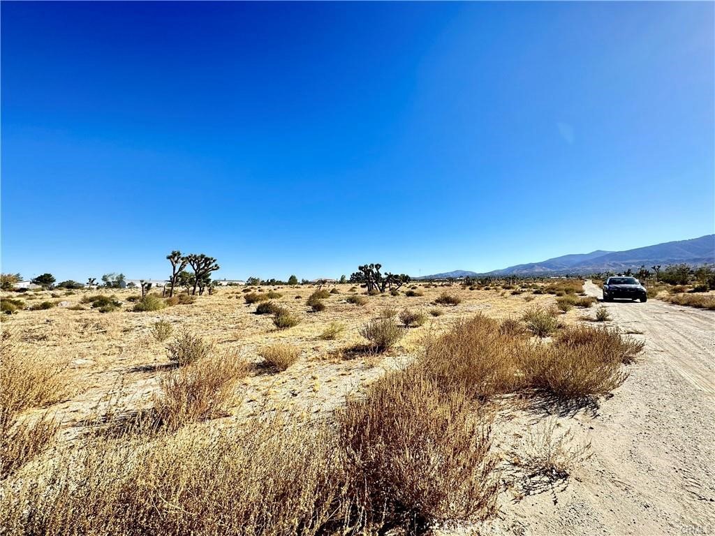 12025 Primavera Road Pinon Hills, CA 92372 - Photo 5 of 13