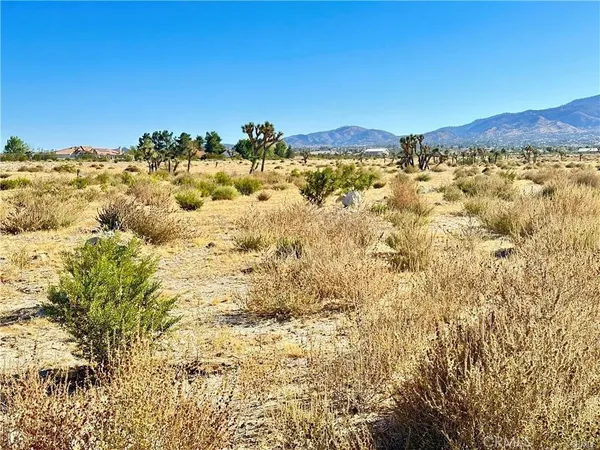 $51,000 | 12025 Primavera Road, Pinon Hills, CA 92372