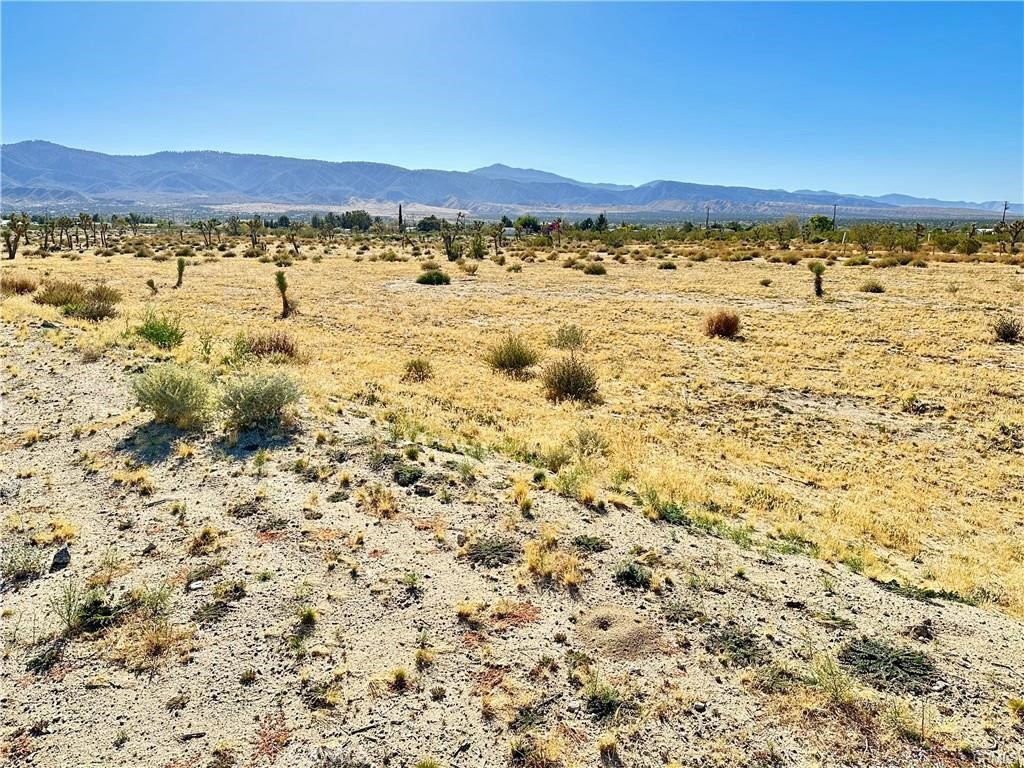 12025 Primavera Road Pinon Hills, CA 92372 - Photo 9 of 13