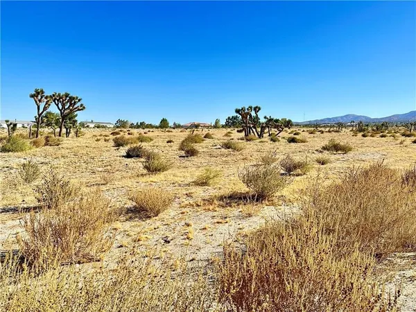 $51,000 | 12025 Primavera Road, Pinon Hills, CA 92372