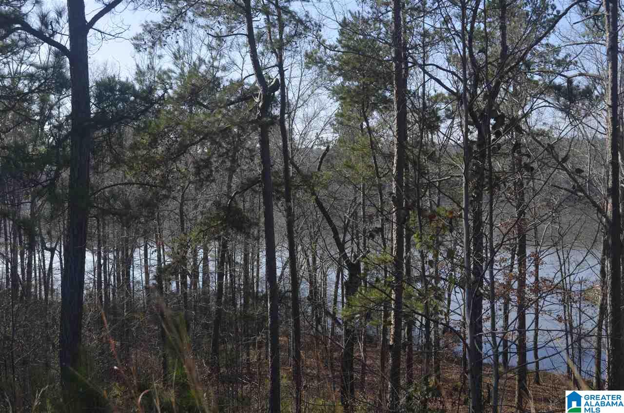 Stillwaters Trail, Unit 179 Sylacauga, AL 35151 - Photo 6 of 20