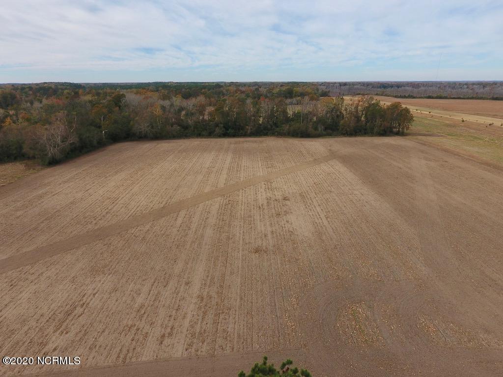 0 Biddle Road Dover, NC 28526 - Photo 4 of 35 3