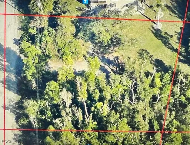 a view of a garden with plants