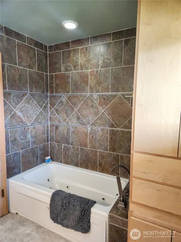 a bathroom with a bathtub and a shower