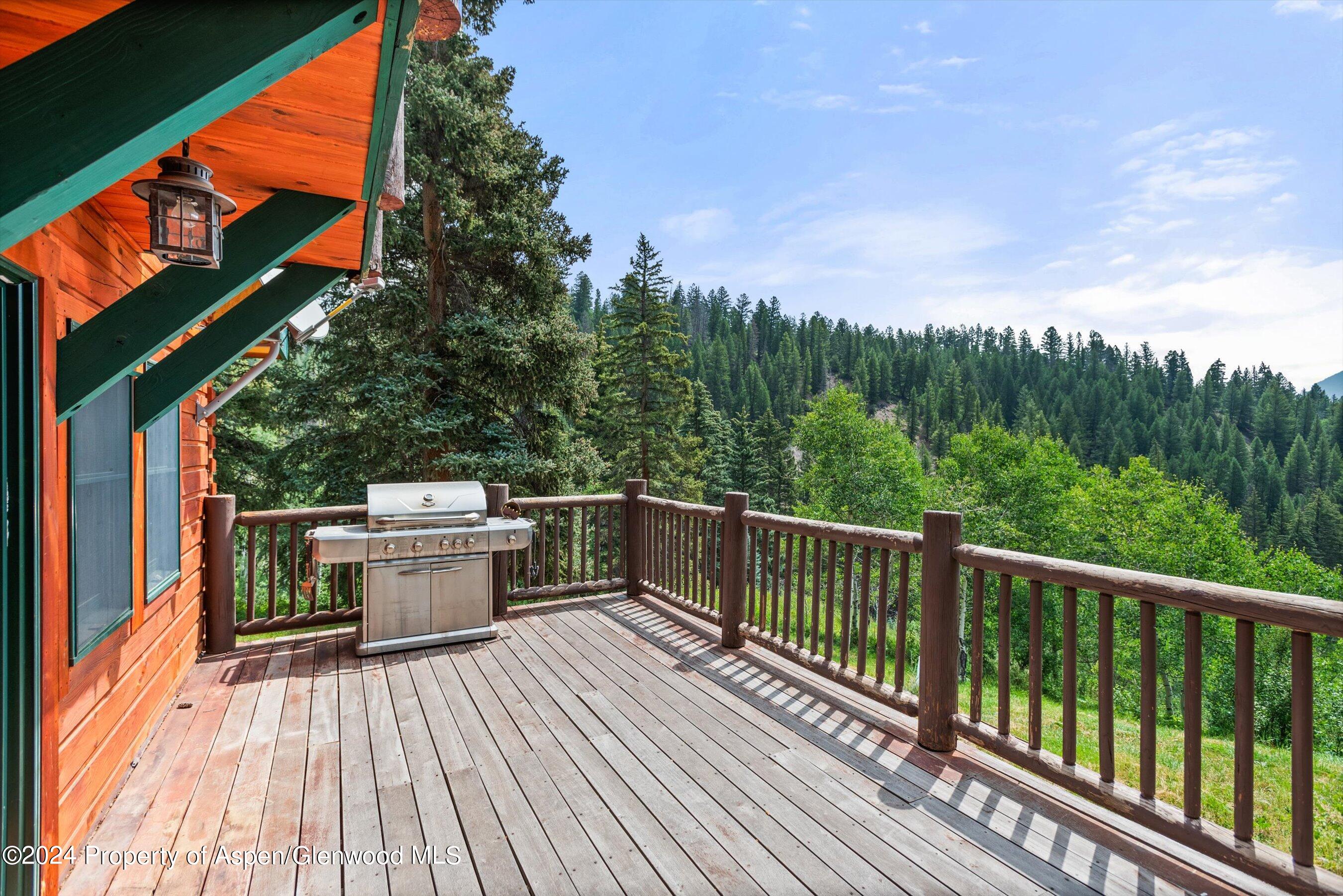 1380 McLaughlin Lane Basalt, CO 81621 - Photo 5 of 37 05-1380McLaughlin_240725006