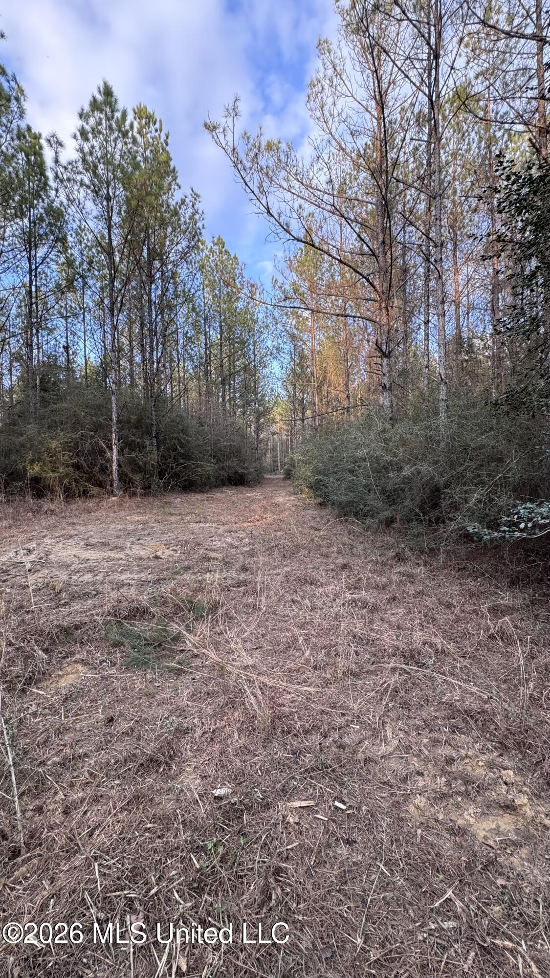 42 Mississippi State Line, MS 39362 - Photo 27 of 87 Photo Feb 13 2026, 4 42 10 PM
