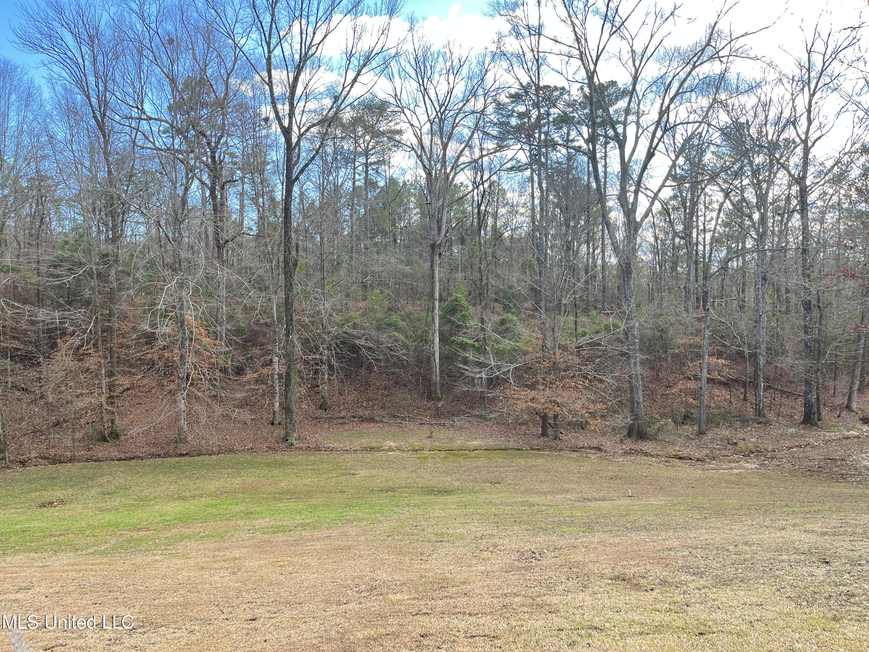 1858 Florence-Byram Road Florence, MS 39073 - Photo 61 of 61 IMG_9604