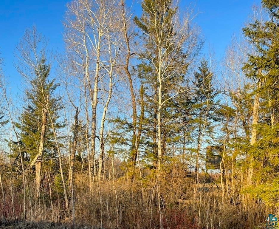 Xxx Dass Road Cotton, MN 55724 - Photo 2 of 11 Gallery Image 2