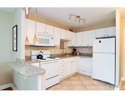 211 East Ohio Street, Unit 2425 Chicago, IL 60611 - Photo 4 of 10
