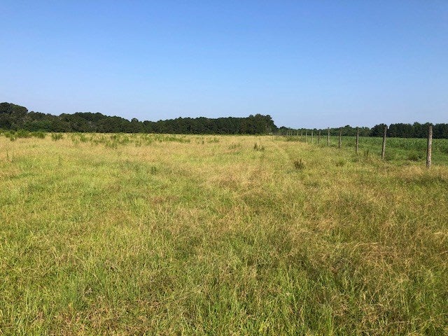 12-ac Race Track Road Florala, AL 36442 - Photo 1 of 14 Gallery Image 1