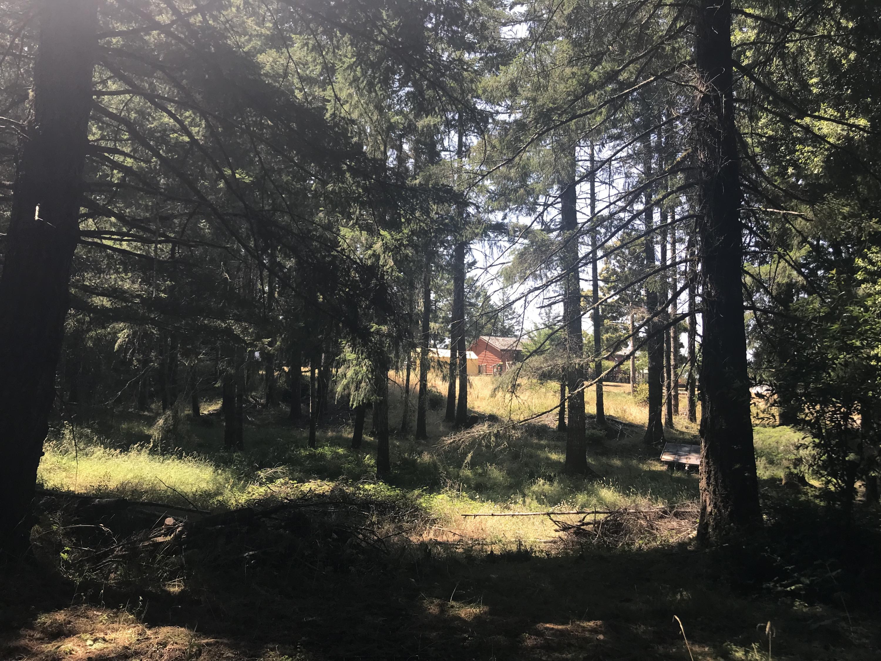 8597 Fickle Hill Road Arcata, CA 95521 - Photo 11 of 37 98F8474F-B348-4F54-8125-C043C84CB6FB