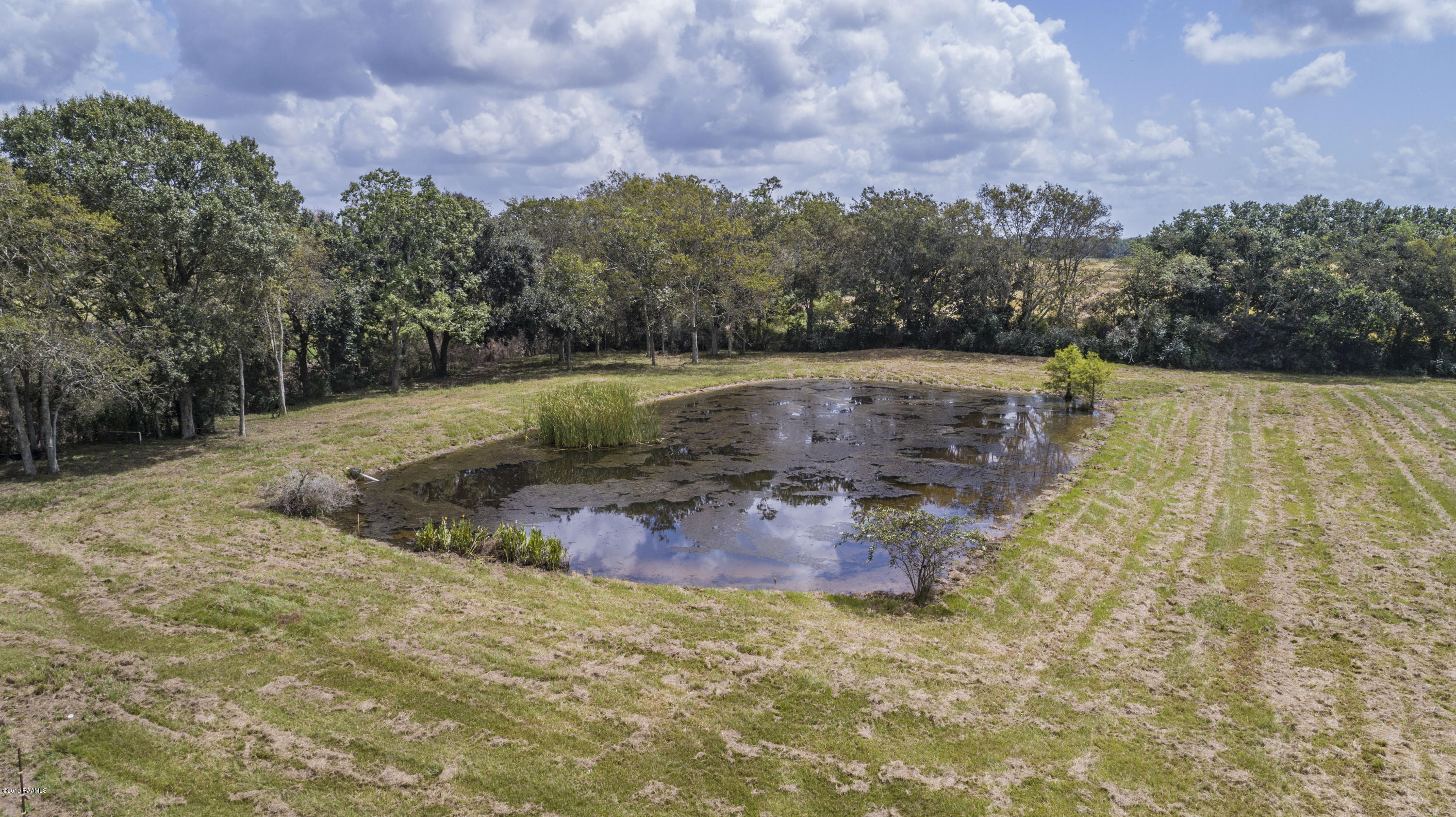 1848 Boone Road Branch, LA 70516 - Photo 38 of 49 Pond 1