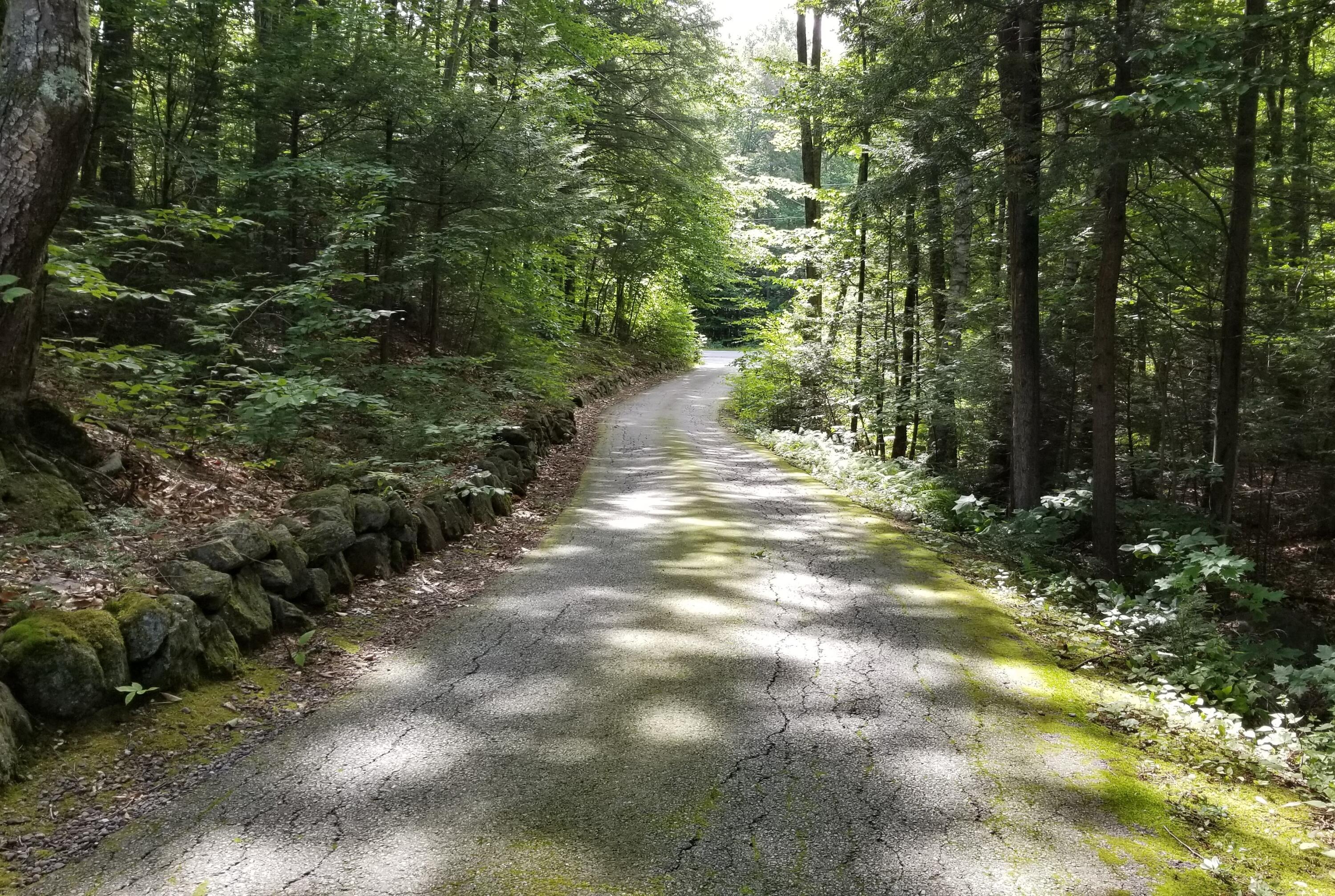 47 Walnut Brook Road Sanford, ME 04073 - Photo 4 of 40 Stone wall lines driveway along driveway