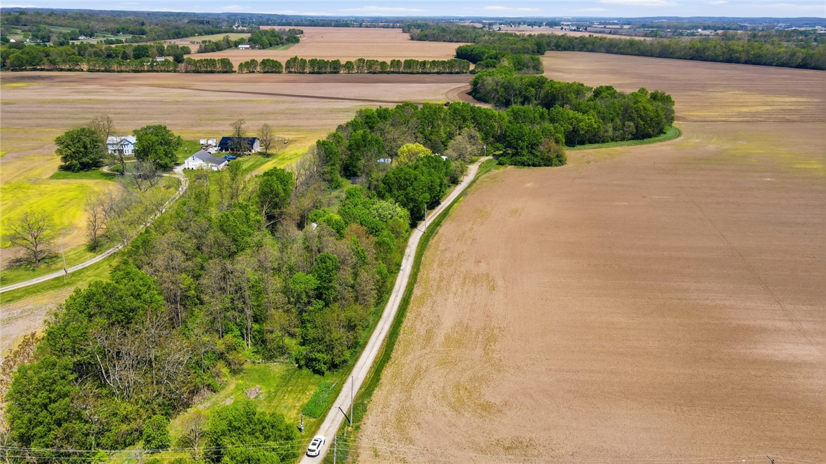 1444 Eagle City Road Springfield, OH 45504 - Photo 4 of 50 Expansive rural landscape featuring fertile fields and verdant tree lines under an open sky.