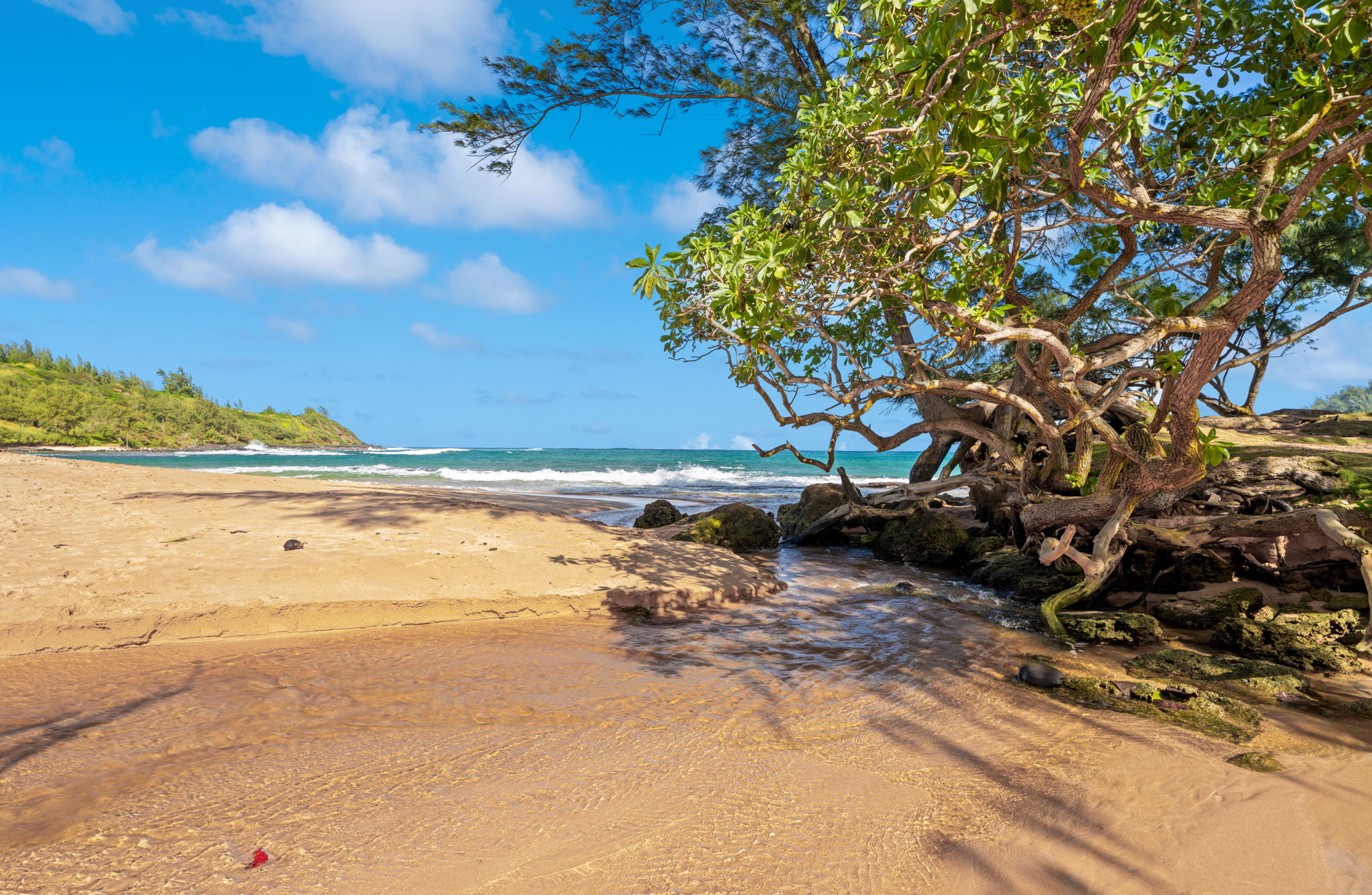 Moloaa Road Kilauea, HI 96754 - Photo 15 of 16 a view of an ocean and beach
