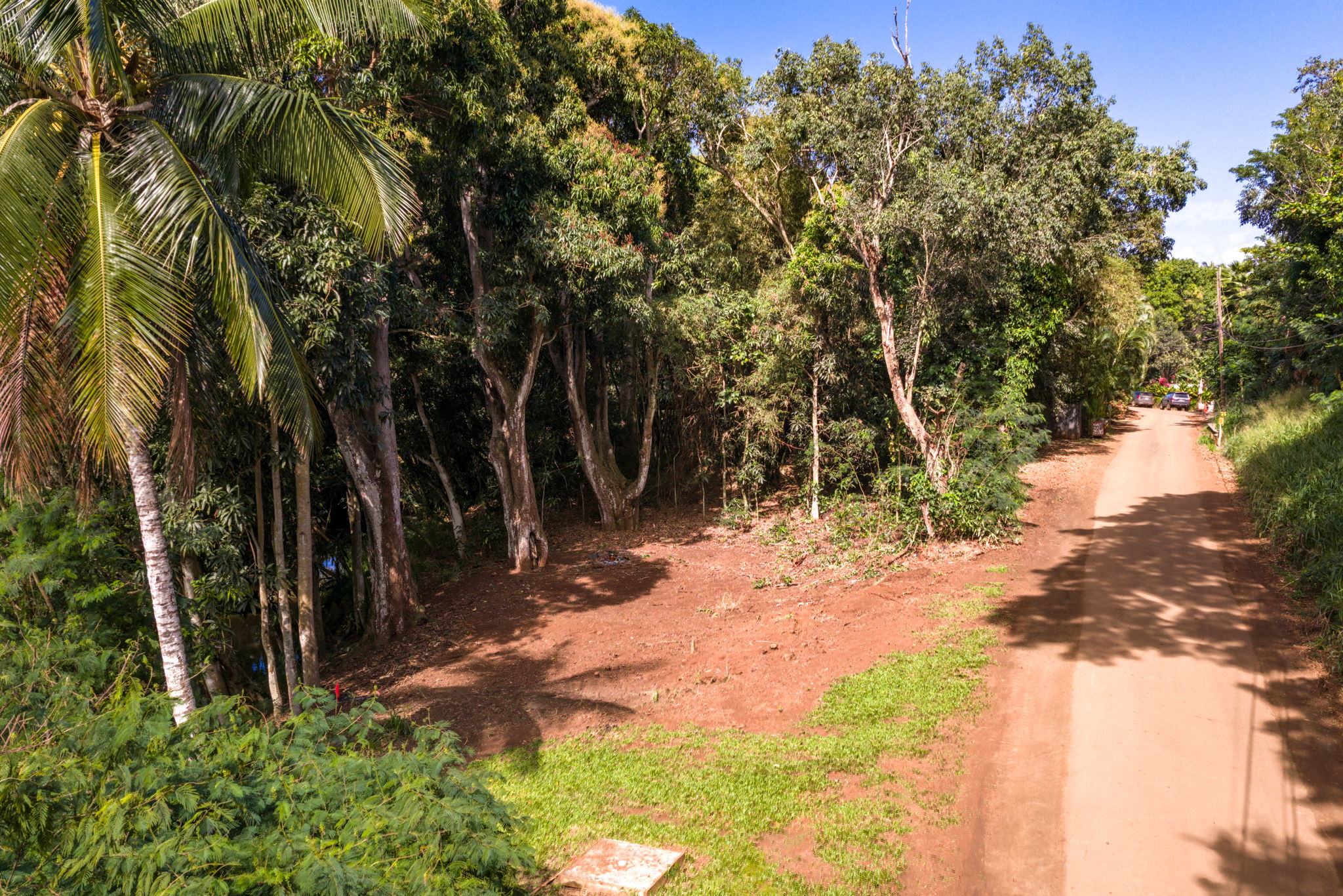 Moloaa Road Kilauea, HI 96754 - Photo 3 of 16 a view of a yard with plants and trees