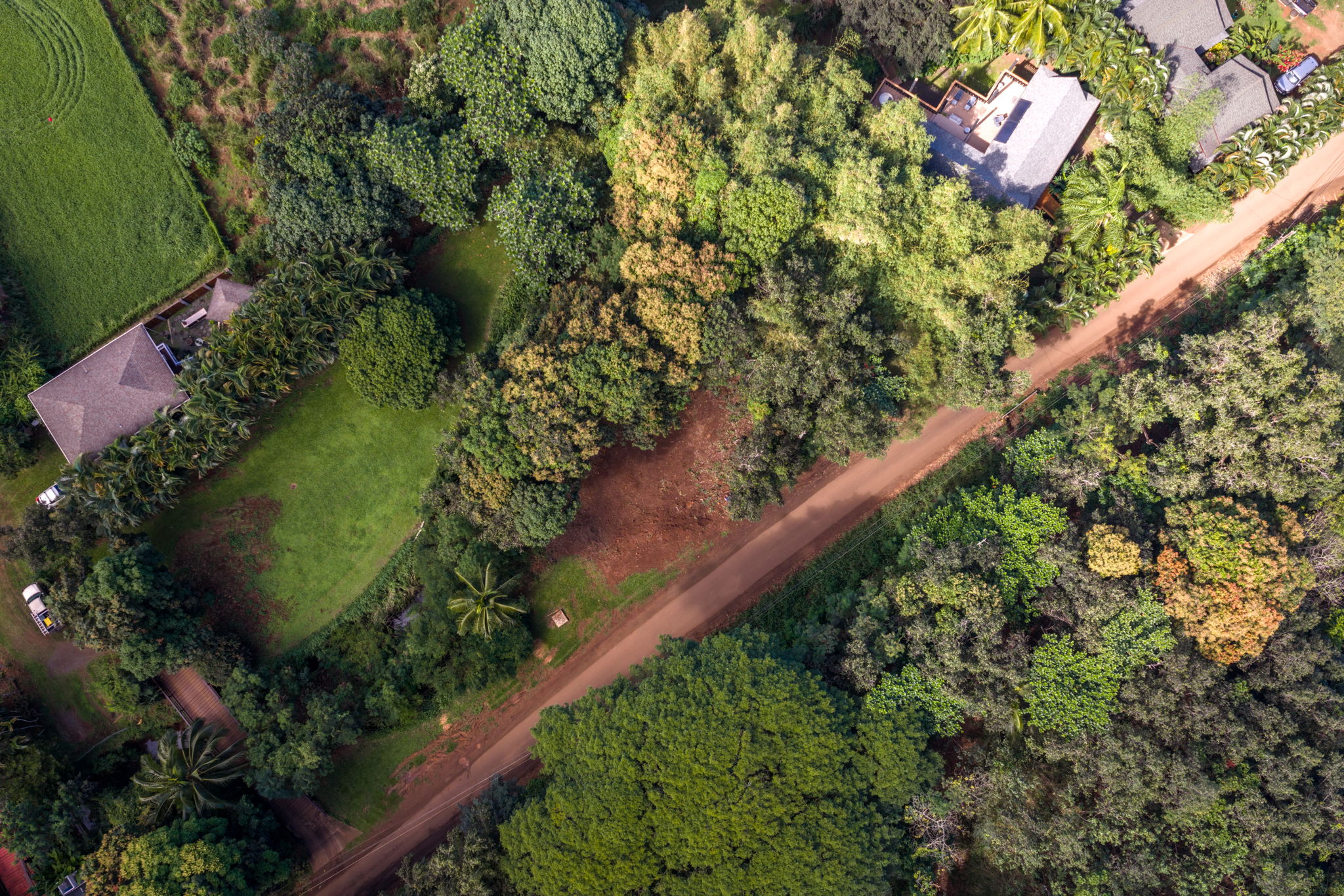 Moloaa Road Kilauea, HI 96754 - Photo 4 of 16