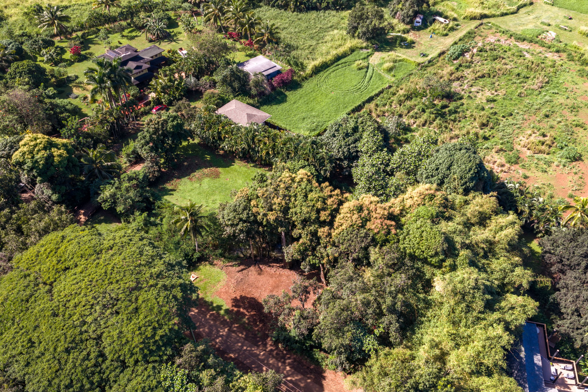 Moloaa Road Kilauea, HI 96754 - Photo 7 of 16