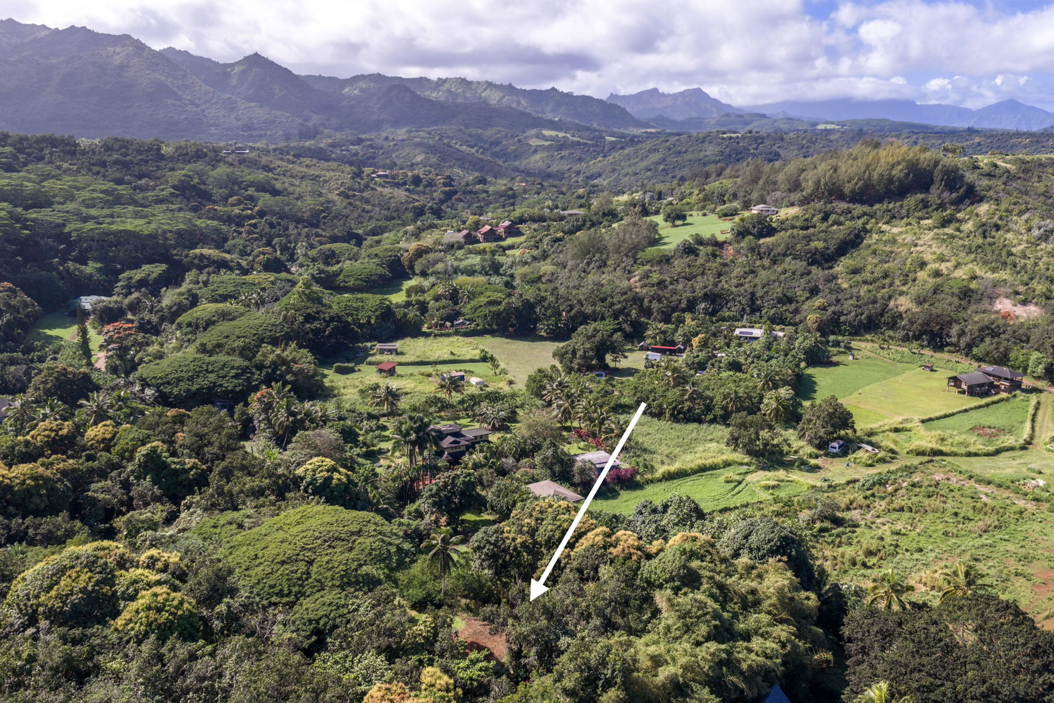 Moloaa Road Kilauea, HI 96754 - Photo 8 of 16 an aerial view of residential house and outdoor space