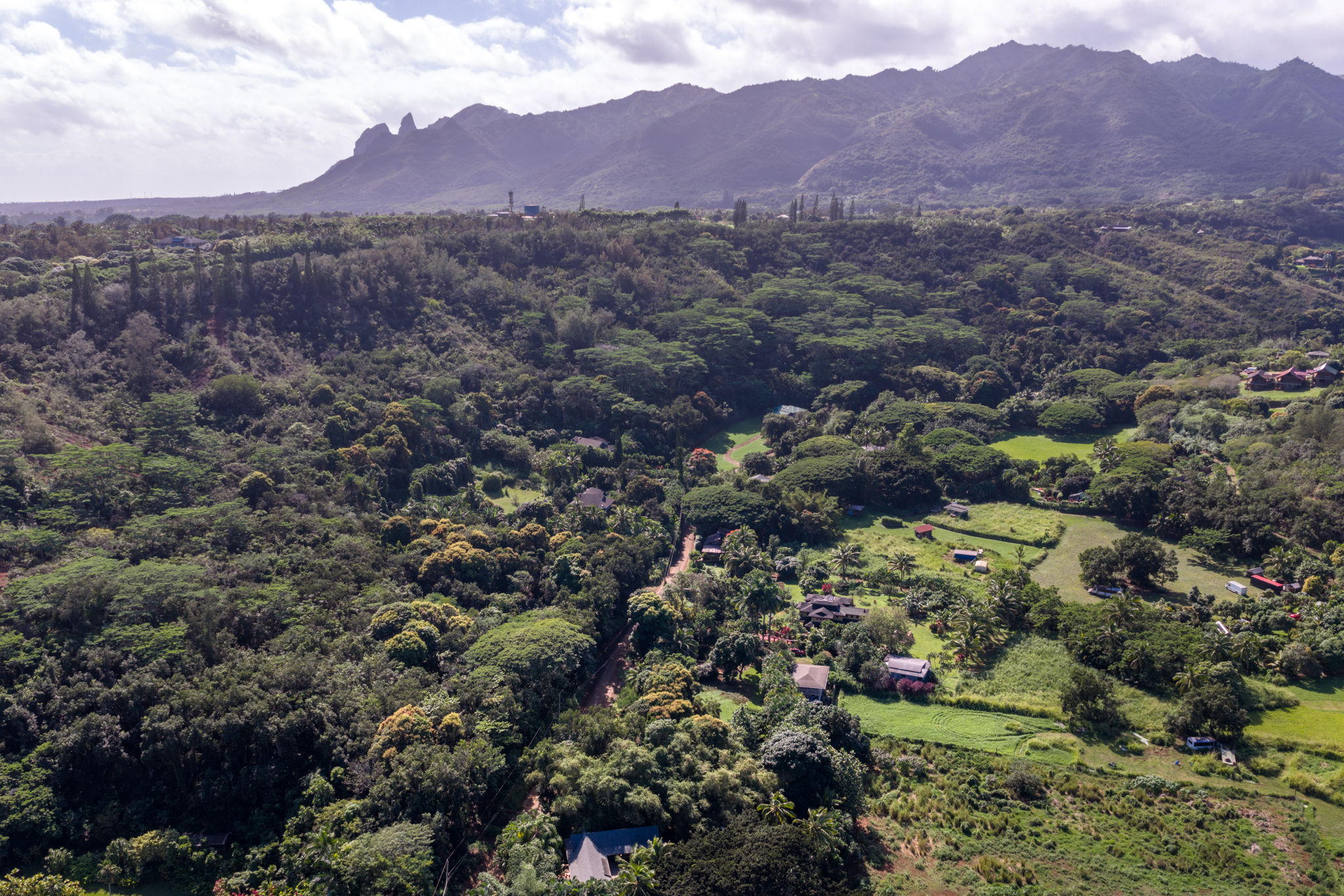 Moloaa Road Kilauea, HI 96754 - Photo 9 of 16 a view of a city with mountain
