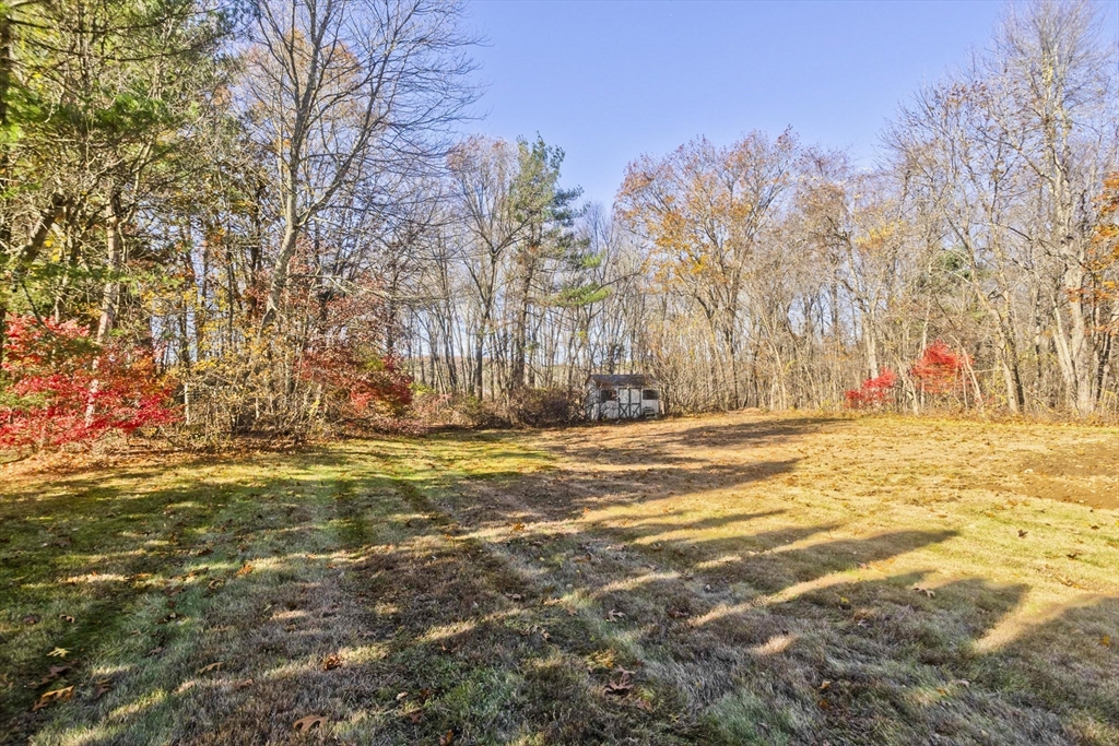 425 Miller Street Ludlow, MA 01056 - Photo 40 of 40 a view of outdoor space with trees