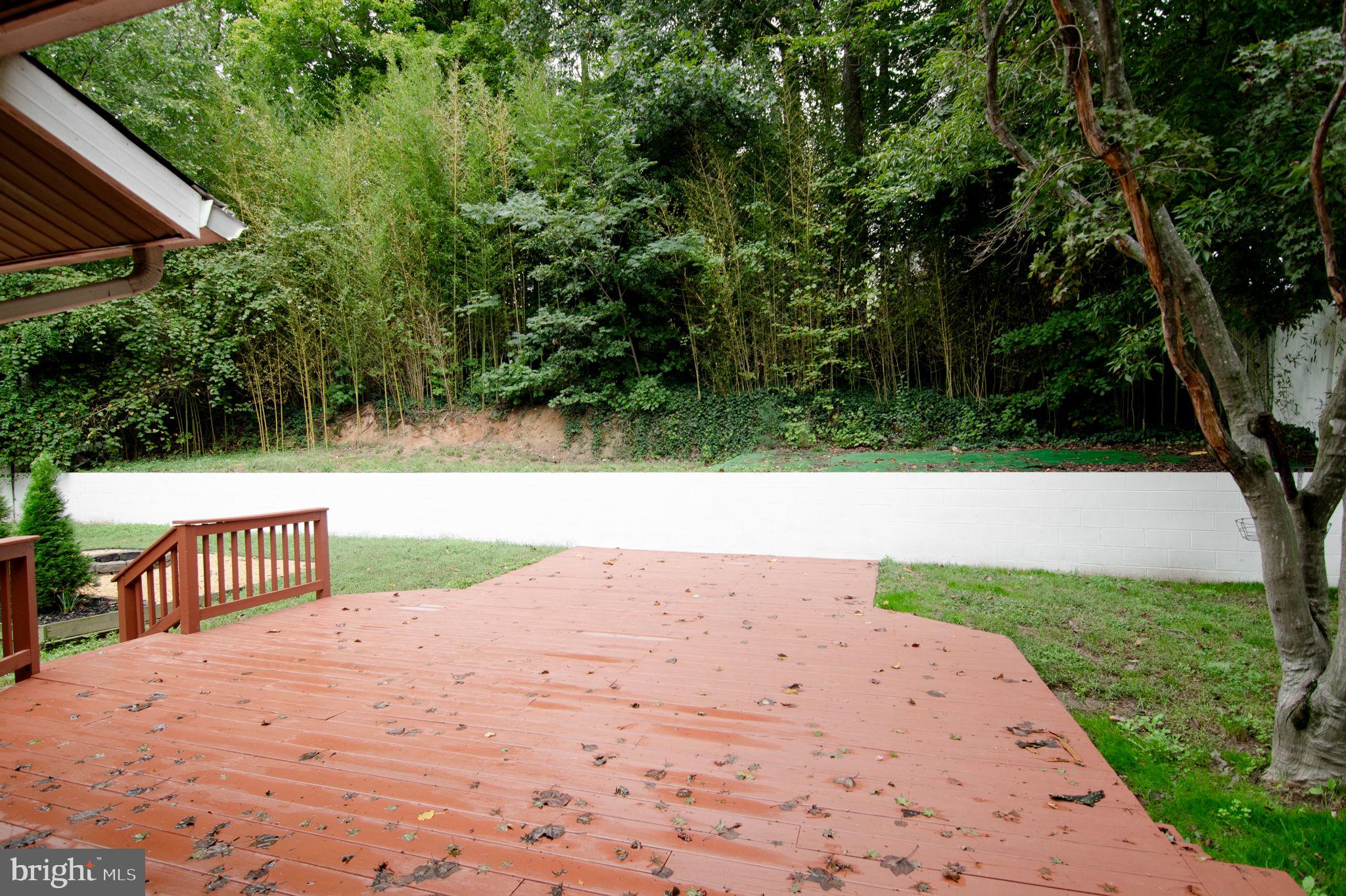 8002 Orange Plank Road Springfield, VA 22153 - Photo 46 of 54