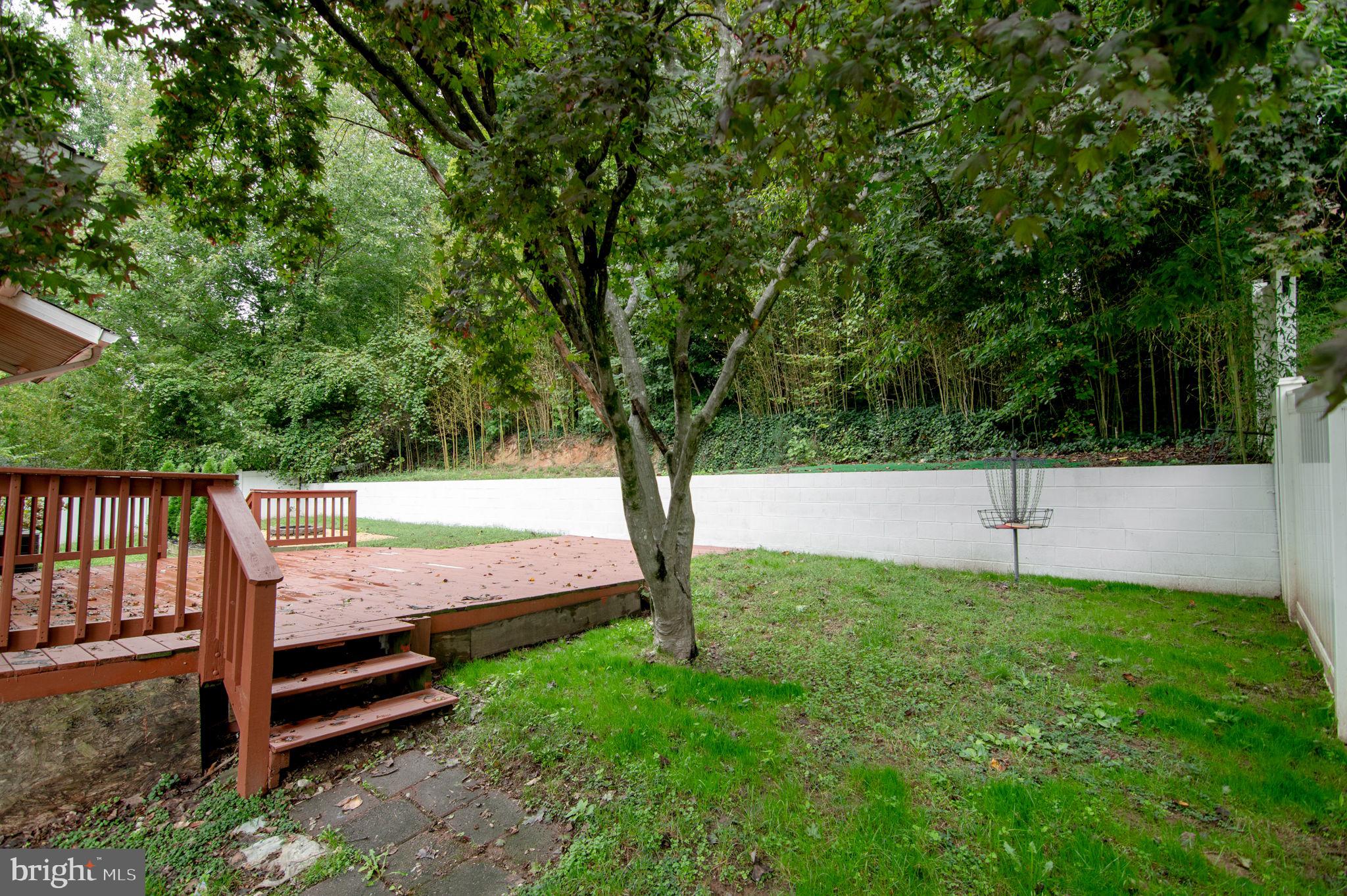 8002 Orange Plank Road Springfield, VA 22153 - Photo 49 of 54