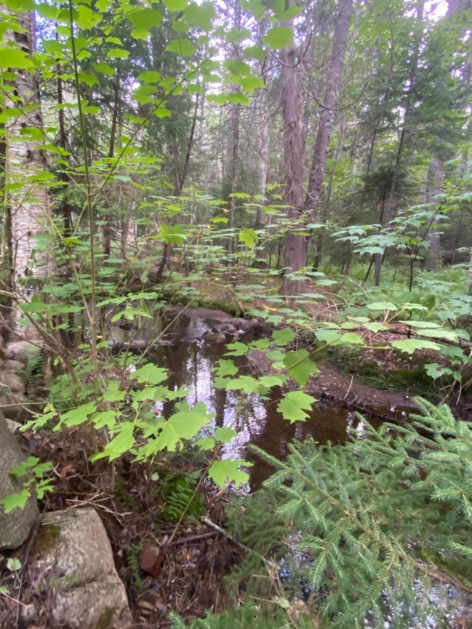 44 Jordan Pond Road Seal Harbor, ME 04675 - Photo 25 of 26 IMG_2151