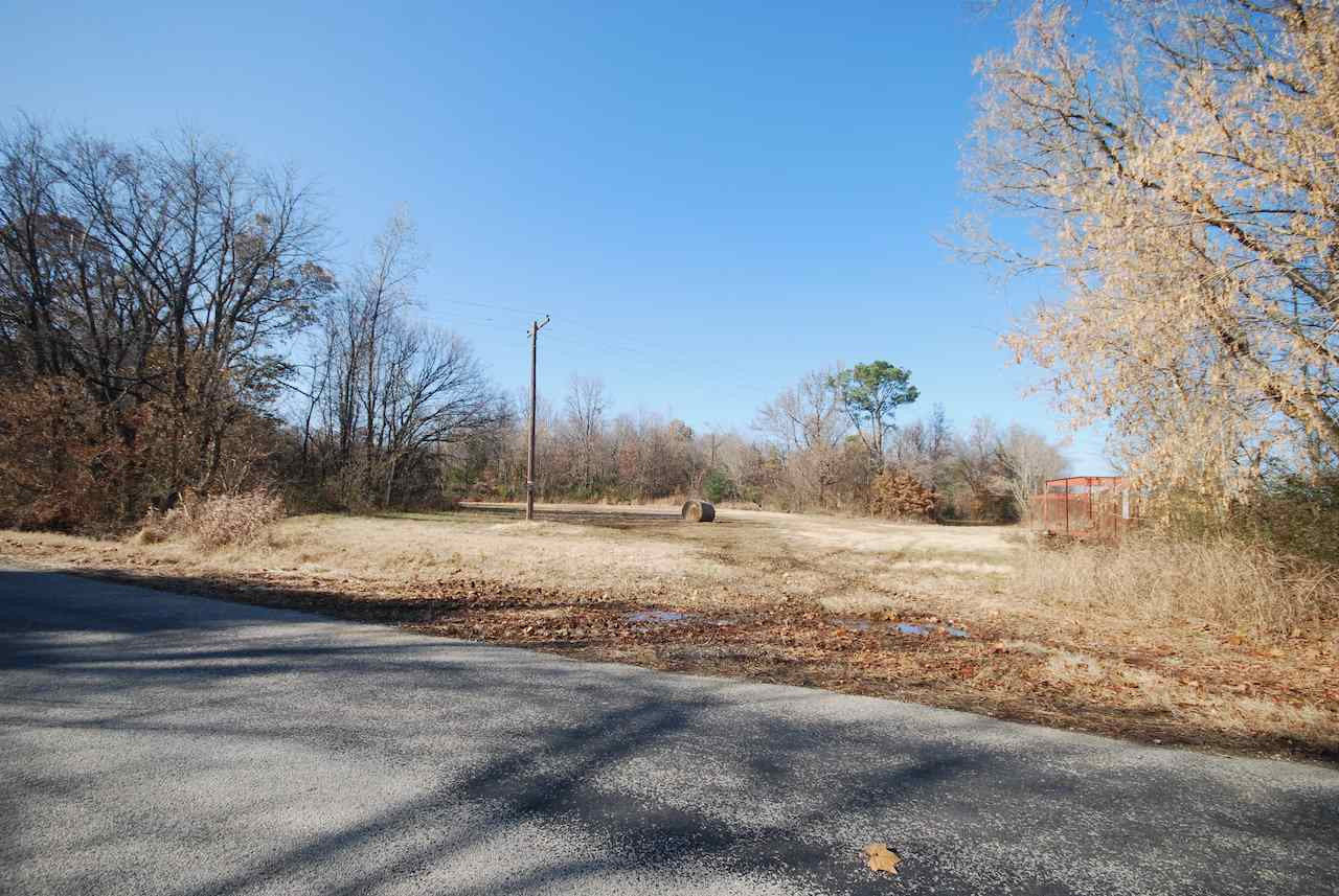 0 Estonallie Road Mercer, TN 38392 - Photo 1 of 1 a view of a yard with large trees