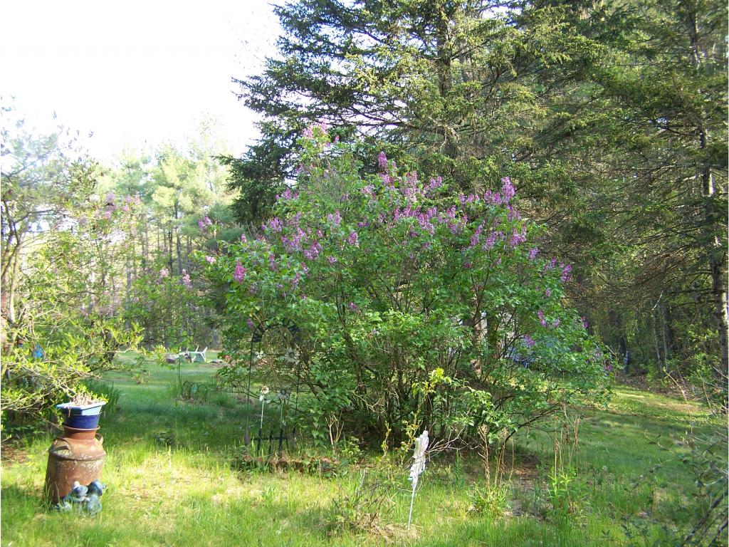 449 Concord Road Northfield, NH 03276 - Photo 5 of 23