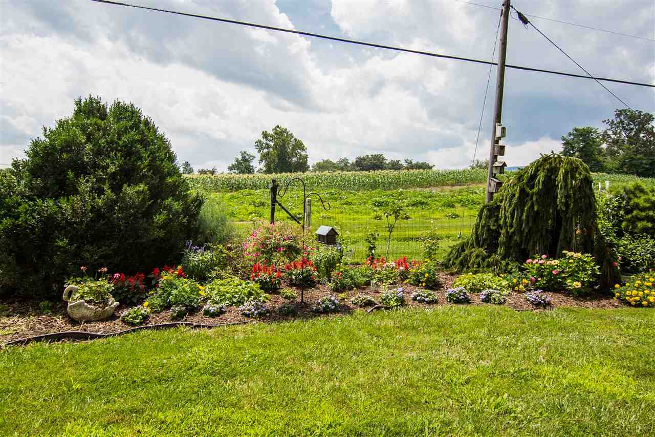 5565 Briery Branch Road Dayton, VA 22821 - Photo 3 of 26 a view of a garden