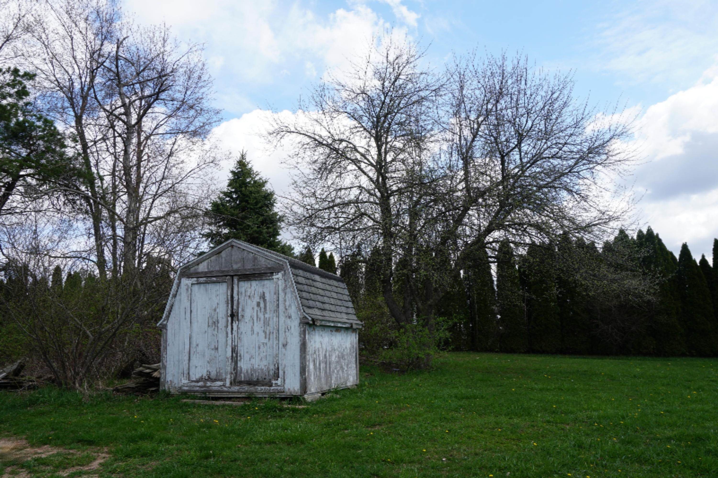 11890 Ware Road Lowell, MI 49331 - Photo 36 of 49 2019-04-26 12.46.44