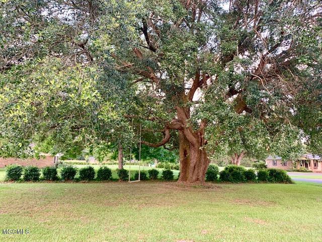 7535 Methodist Church Road Moss Point, MS 39562 - Photo 3 of 22 Gorgeous Live Oak