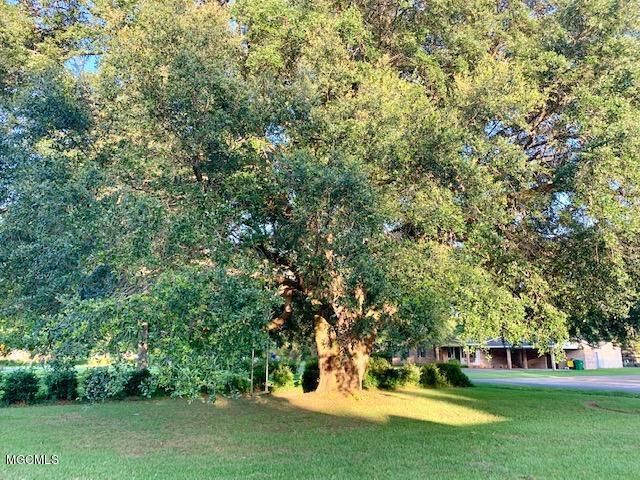 7535 Methodist Church Road Moss Point, MS 39562 - Photo 4 of 22 Gorgeous Live Oak