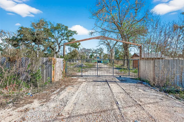 a view of a backyard with tree s