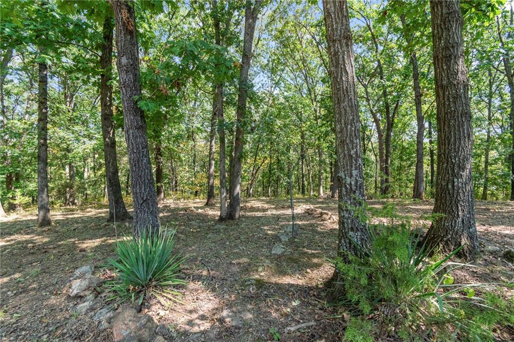 26690 Oakwood Lane Clinton, MO 64735 - Photo 33 of 58