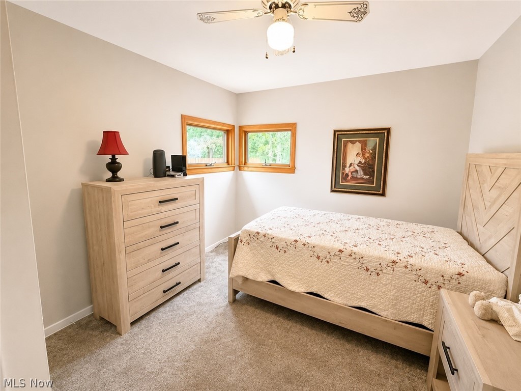 4148 Sherman Road Kent, OH 44240 - Photo 13 of 23 Cedar Closet